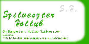 szilveszter hollub business card
